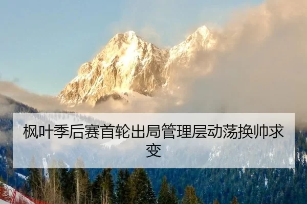 feng-ye-ji-hou-sai-shou-lun-chu-ju-guan-li-ceng-dong-dang-huan-shuai-qiu-bian-3-887.jpg